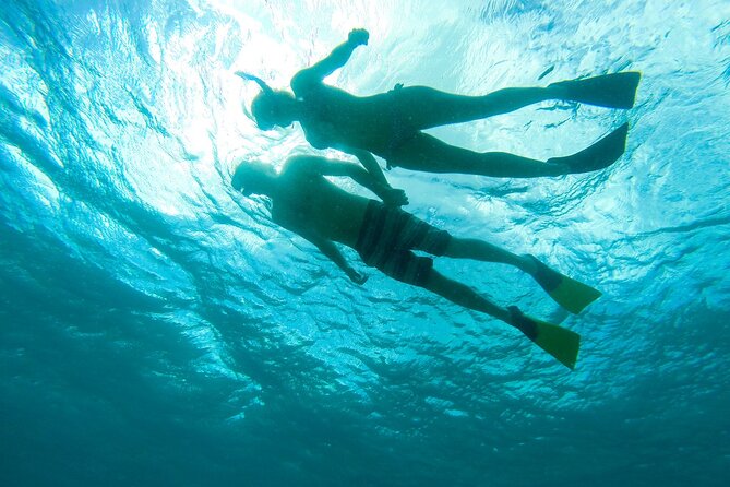 Deluxe Half-Day Snorkel Sail on Lady Grace Luxury Catamaran - The island beach stop: Iguana Island and Half Moon Bay