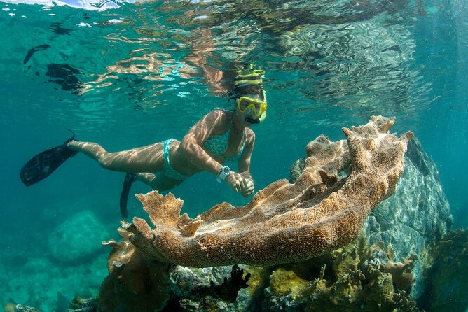 Deluxe Half-Day Snorkel Sail on Lady Grace Luxury Catamaran - Should you book Lady Grace?