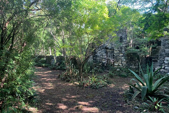 Discovery Tour and Treasure Hunt ( North and Middle Caicos) - Wade’s Green Plantation and the island’s past