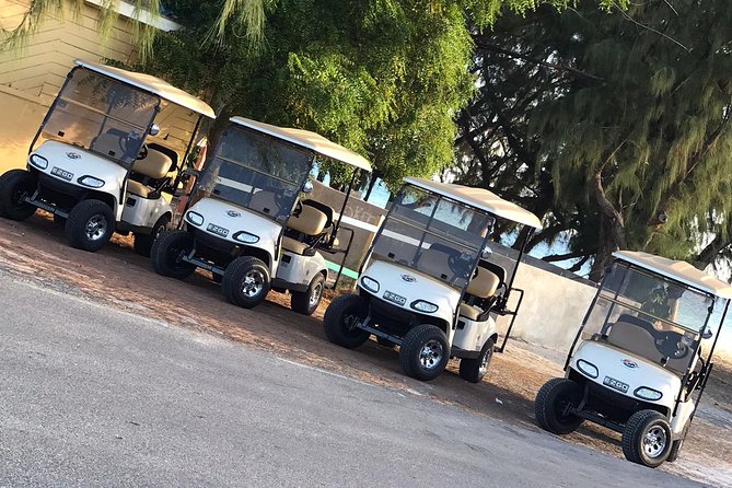 Drive GDT - Golf Cart Rentals - Key points to know before you book