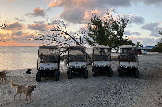 Drive GDT - Golf Cart Rentals - Service, comfort, and the occasional problem