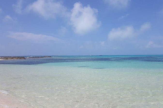 Exclusive Supreme Snorkeling Tour - Conch from the sea to your plate