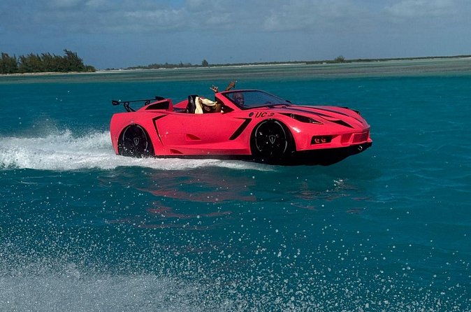Explore Shipwreck and Hidden Island Beaches in 1-Hour Jetcar Tour - What to bring, and what to leave behind