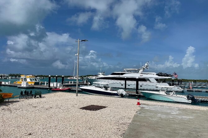 Famous East Island UTV Tour - Bight Park and the first view of Providenciales