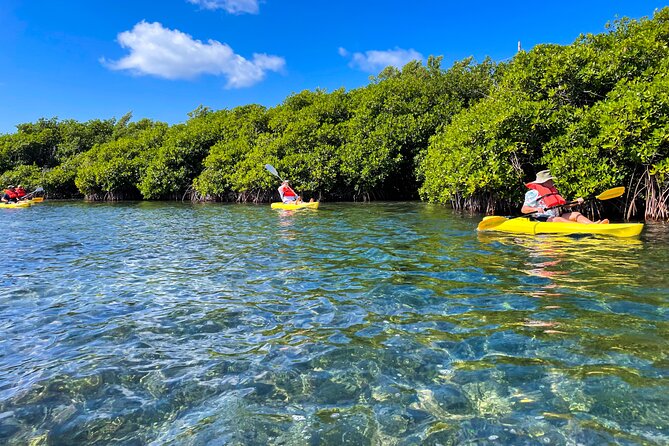 Full Day Clear Kayak Rental Grand Turk - What the Grand Turk kayak rental really includes