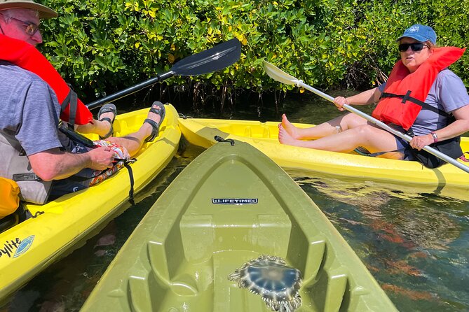 Full Day Clear Kayak Rental Grand Turk - A clear view of wildlife, with realistic expectations