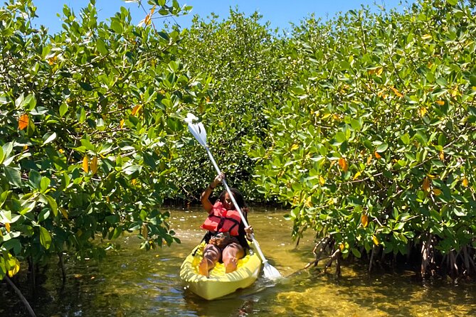 Full Day Clear Kayak Rental Grand Turk - Reaching the mangroves and choosing a guided option