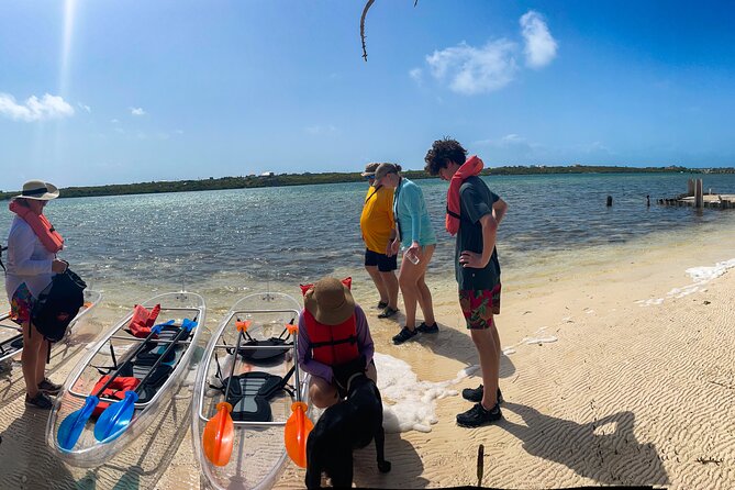 Full Day Clear Kayak Rental Grand Turk - Is $58 a fair price?