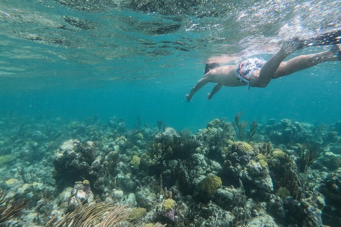 Full Day Cruise from Providenciales with Snorkeling and BBQ Lunch - Pine Cay Reef closes the water portion