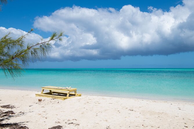 Full Day Cruise from Providenciales with Snorkeling and BBQ Lunch - Iguana Island and the Caicos Banks