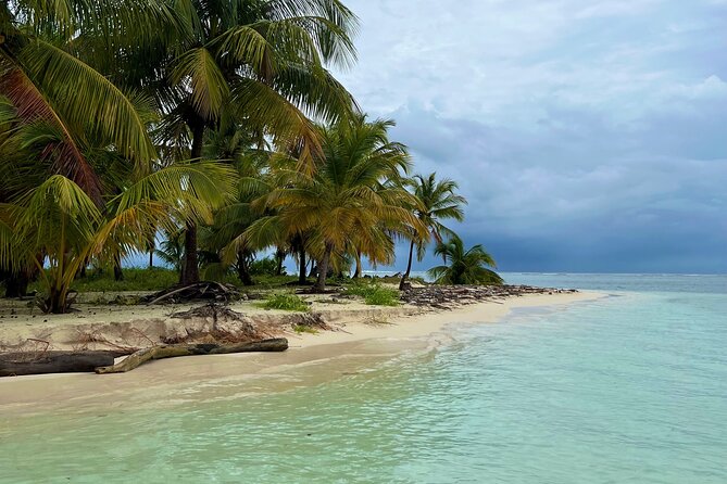 Full-Day Private Catamaran, Turks and Caicos Cruise - Pine Cay: The Calmest Beach Stop