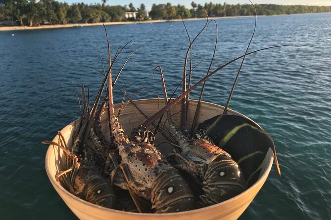 Full-Day Private Catamaran, Turks and Caicos Cruise - Little Water Cay and the Iguana Stop