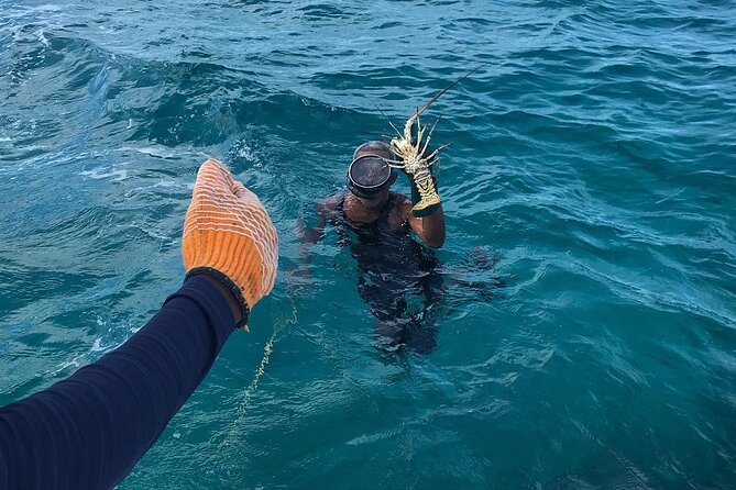 Full-Day Private Cruise in Turks and Caicos with Lunch - Fort George Cay, sand dollars, and a beach BBQ