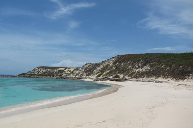 Gibbs Cay Stingray and Conch Dive Adventure - Quick facts worth knowing