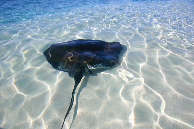Gibbs Cay Stingray and Conch Dive Adventure - Leaving Grand Turk for Gibbs Cay