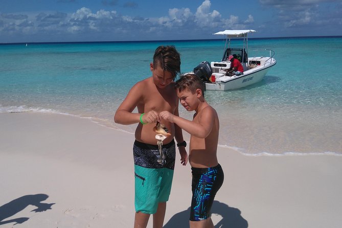 Gibbs Cay Stingray and Conch Dive Adventure - Snorkeling, fish, and the extra wildlife factor