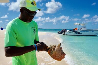 Gibbs Cay Stingray and Conch Dive Adventure