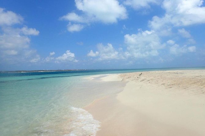 Gibbs Cay Stingray and Conch Dive Adventure - What can go wrong, and how to plan around it