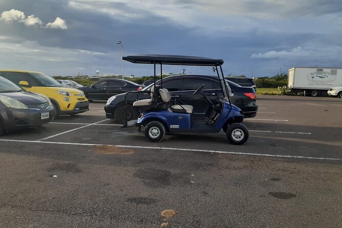 Golf Cart Adventure MaxKart Auto Rentals - Who will enjoy this rental most