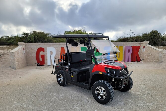 Golf Cart Island Tour in Grand Turk - Pond Street, pink flamingos, and brown pelicans