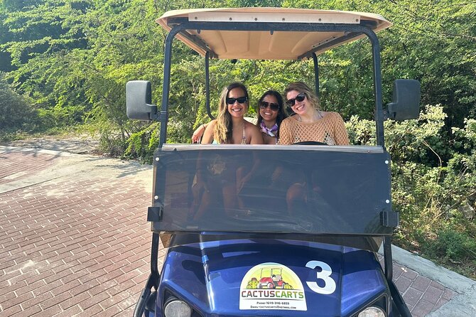 Grand Turk Golf Cart Rentals (CACTUS CARTS) - The main drawbacks to consider