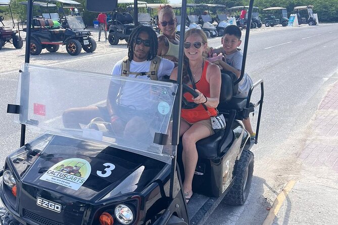 Grand Turk Golf Cart Rentals (CACTUS CARTS) - Who should book Cactus Carts