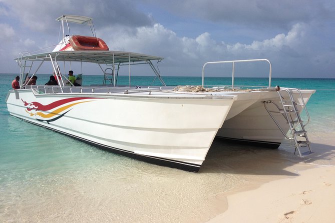 Grand Turk: Whale Watching - Is $200 a Fair Price?