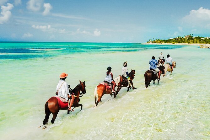 Group Beach and Ocean Horseback Adventure in Providenciales - Key Details Before You Saddle Up