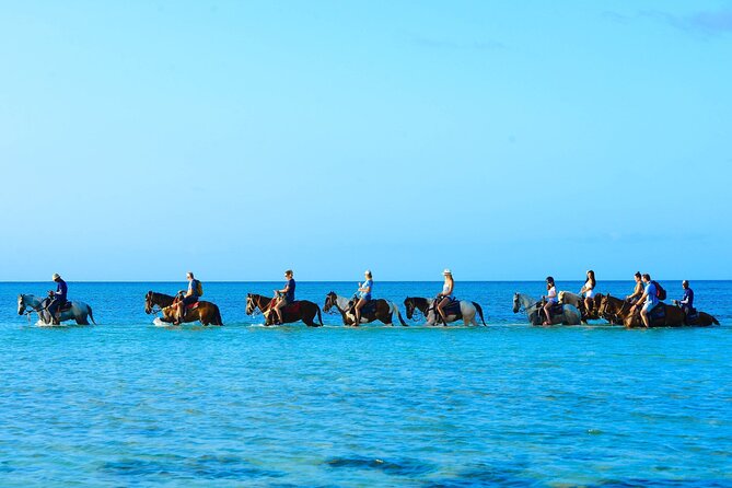 Group Beach and Ocean Horseback Adventure in Providenciales - Why This Providenciales Ride Feels Different
