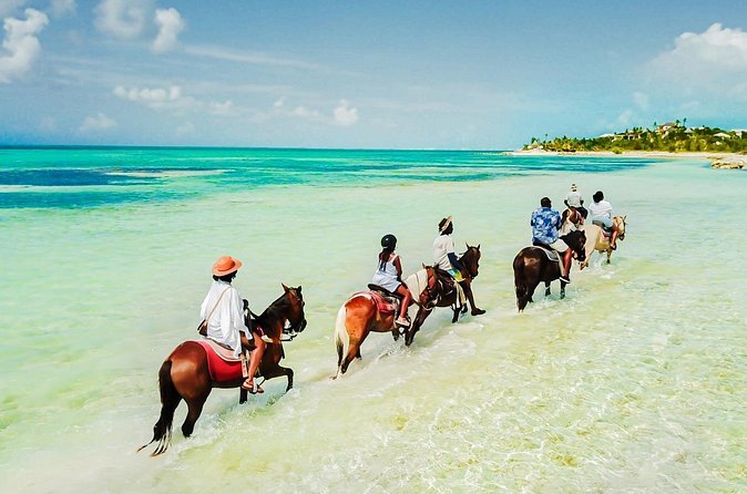 Group Beach and Ocean Horseback Adventure in Providenciales - Riding Into the Clear Shallows