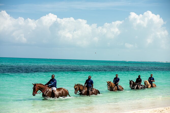 Group Beach and Ocean Horseback Adventure in Providenciales - Gentle Horses and First-Time Riders