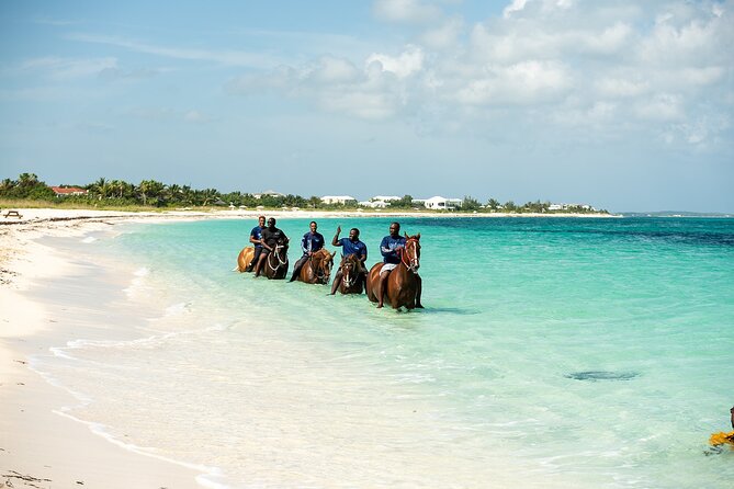 Group Beach and Ocean Horseback Adventure in Providenciales - Photos, Water, and the Conch Shell