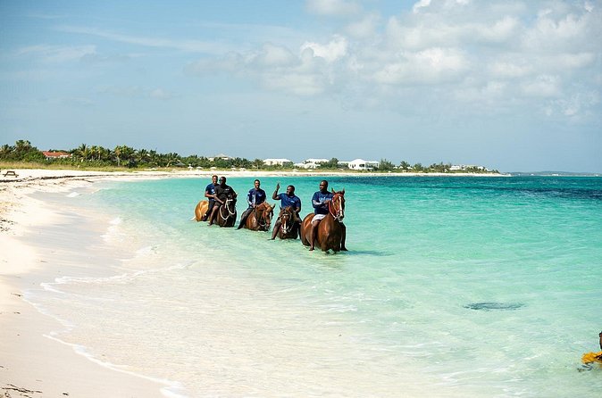 Group Beach and Ocean Horseback Adventure in Providenciales - Is $254 a Fair Price?