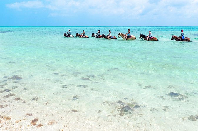 Group Beach and Ocean Horseback Adventure in Providenciales - Group Size, Timing, and Comfort
