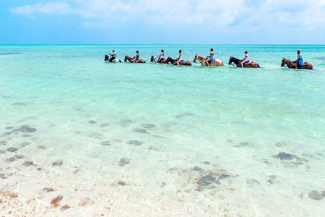 Group Beach and Ocean Horseback Adventure in Providenciales - Meeting the Horses at Bay Road