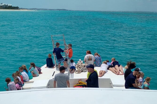 Group Reef, Beach and Sandbar Tour from Providenciales - Half Moon Bay and Iguana Island
