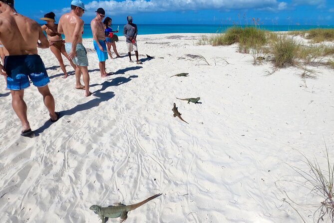 Group Reef, Beach and Sandbar Tour from Providenciales - Lunch, open bar, and the ride home