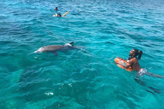 Group Reef, Beach and Sandbar Tour from Providenciales - What the $145.84 price really covers