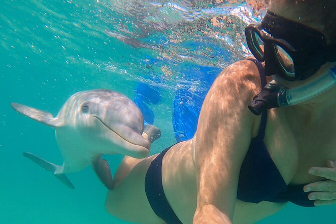 Group Reef, Beach and Sandbar Tour from Providenciales - Who will enjoy this half-day outing