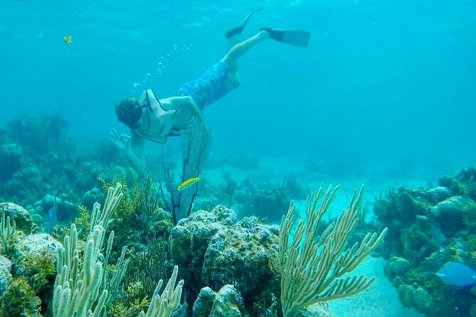 Group Reef, Beach and Sandbar Tour from Providenciales - Practical details before you book