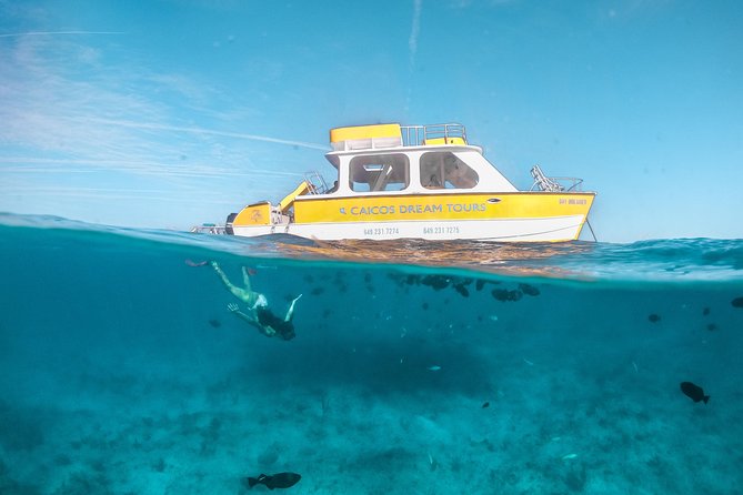 Half Day Private Boat Charter at Grace Bay, Providenciales - Why a Private Grace Bay Charter Works So Well