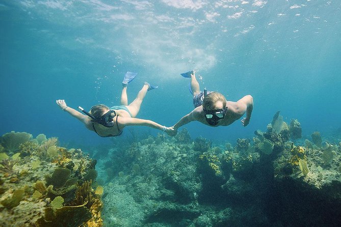 Half Day Private Boat Charter at Grace Bay, Providenciales - Cruising Along Grace Bay Beach