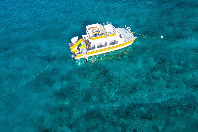 Half Day Private Boat Charter at Grace Bay, Providenciales - Snorkeling the Turks and Caicos Barrier Reef