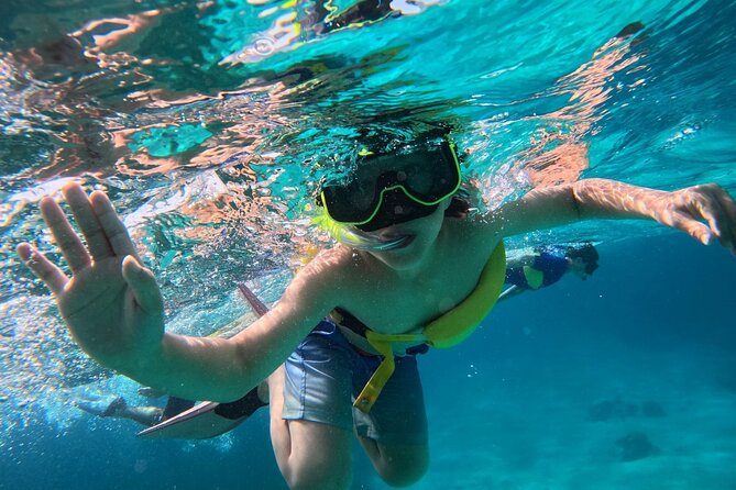 Half Day Private Boat Tour in Caicos Island - Little Water Cay and the Turks and Caicos rock iguana