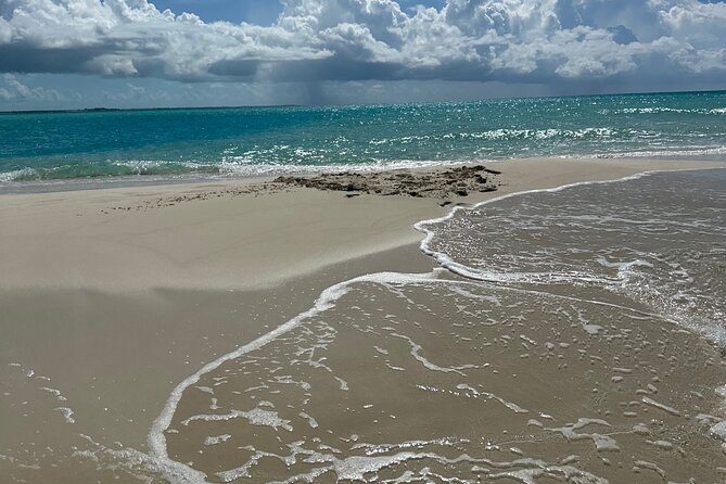 Half Day Private Sun and Snorkel exploring the Turks and Caicos - Sand dollars and a sandbar with room to breathe