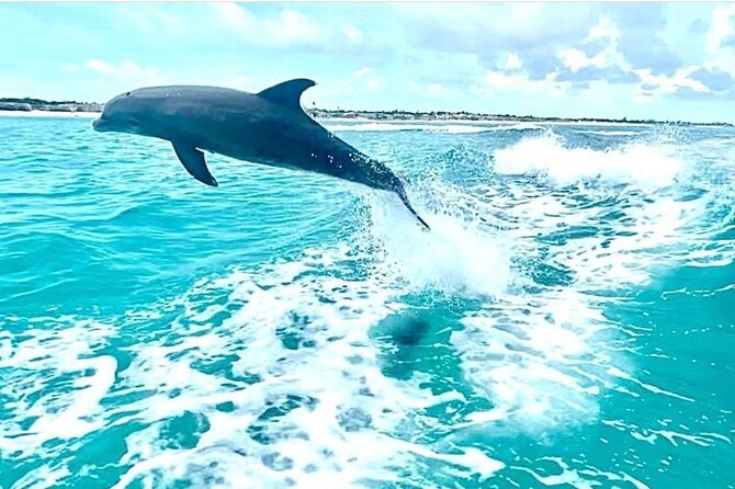 Half Day Snorkel from Providenciales with Visit to Half Moon Bay - Starting with Grace Bay’s turquoise water
