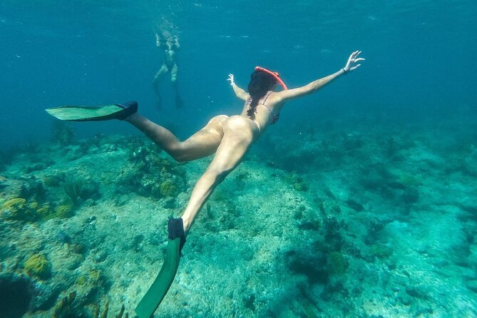 Half Day Snorkel from Providenciales with Visit to Half Moon Bay - Half Moon Bay brings the postcard setting
