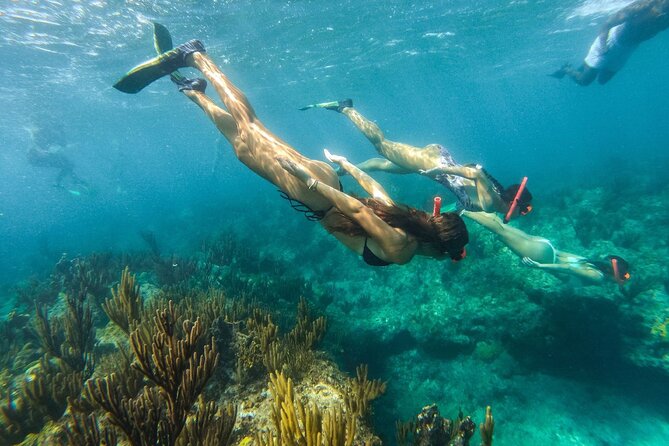 Half Day Snorkel from Providenciales with Visit to Half Moon Bay - Who will enjoy this Providenciales boat tour?