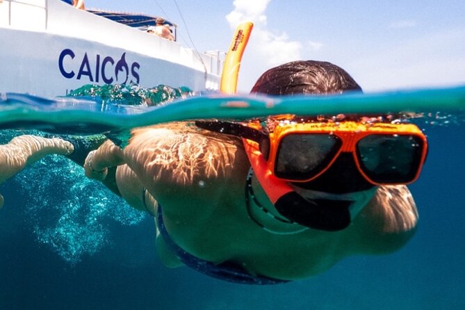 Half Day Snorkel from Providenciales with Visit to Half Moon Bay - What the Leeward Reef stop is really like