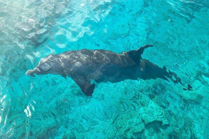 Half Day Snorkeling, Sightseeing & Island Hopping Private Charter (Afternoon) - Pine Cay for beach time and snorkeling
